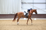 SBM_021888