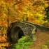Autumn At Foley's Bridge
