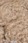 230511A-152656-01147
