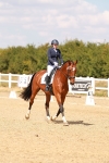 SBM_018566