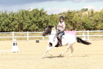 SBM_011498