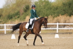 SBM_009644