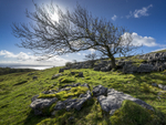 Morecambe Bay from Hampsfell