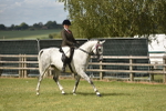SBM_17706