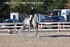 BPP_8713