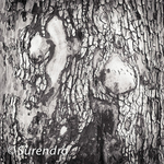 Bark 54