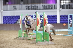 SBM_003947