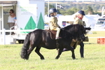 JPP_0679