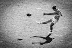 IMG_8803-2