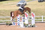BPP_6184