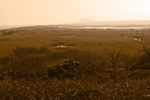 DSC02740
