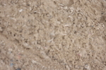20260606-0736