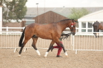 SBM_07747
