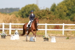 SBM_017614