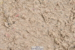 230511A-131539-00726