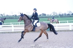 Cls 13 BlueChip Star Championship Q portfolio
