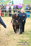 SHETPR 210425 26