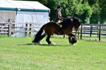 SBM_09312