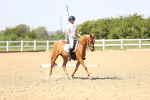 SBM_010086