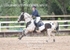 BPP_8323