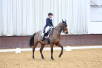 Class 23-25-26 - FEI PSG FEI INTI FEI Pony Team Test portfolio