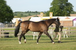 SBM_10537