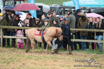SHETPR 210425 52