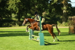 SBM_36425
