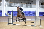 SBM_001881