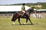 SBM_17923