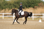 SBM_008199