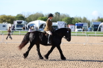 SBM_08878