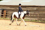 SBM_000883