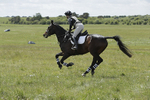 BVHT 140517  IXC -827