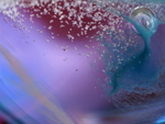 P6010052
