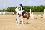 SBM_007814