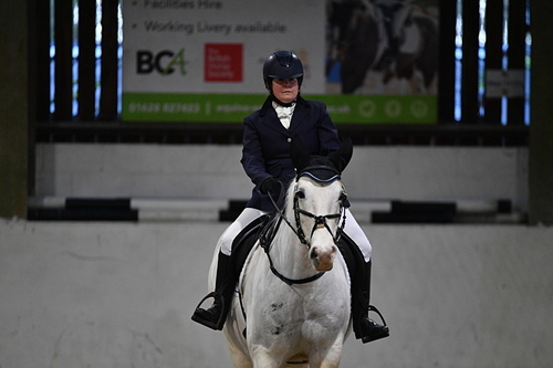 Dressage