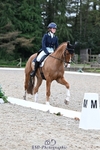 049-AUGUSTUS.IMPERIOUS-Ines.Mitchell-DR portfolio