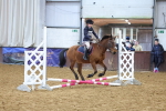 SBM_000339