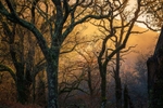 Misty-Sunset