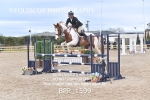 BPP_1599