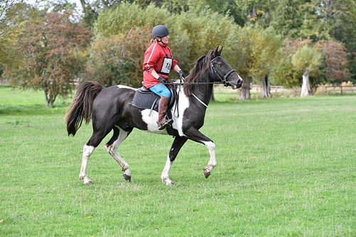 WJ5_9893