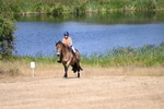 WJ6_8762