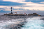 Race Rocks Lighthouse - DSC_1810