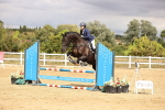 SBM_008244