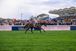 130326-Race 5-Gaelic Warrior-2645