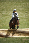 BVHT 140517  IXC -219