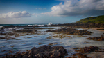 The Coast
