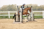 SBM_001647