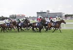 YORK RACES-3701